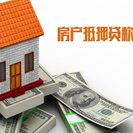 称多贷款公司新渝启服怎么选择